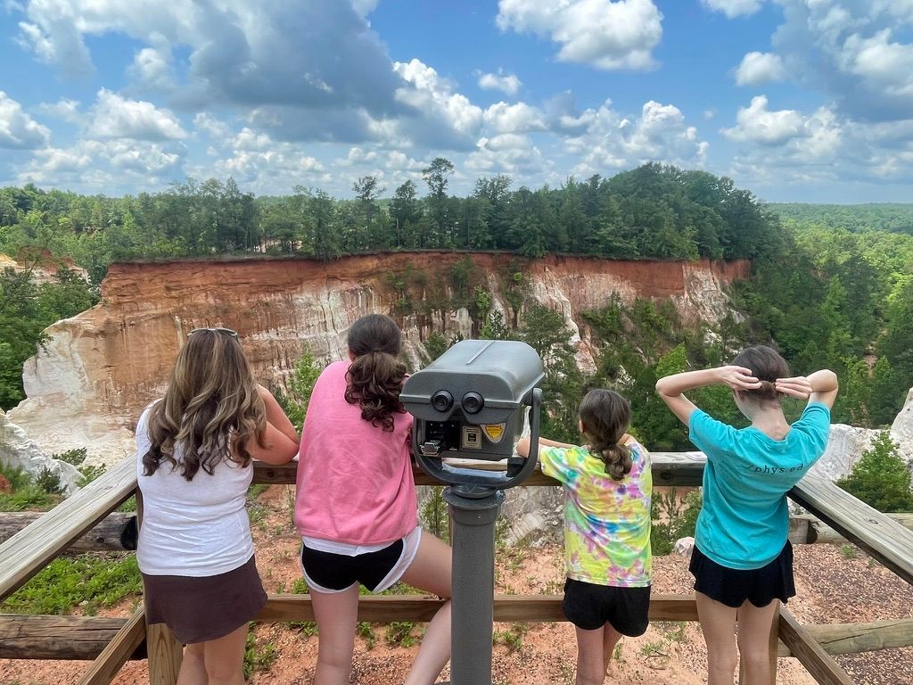 Four people stand at a wooden overlook, viewing a large, forested canyon with orange-red cliffs under a cloudy blue sky.