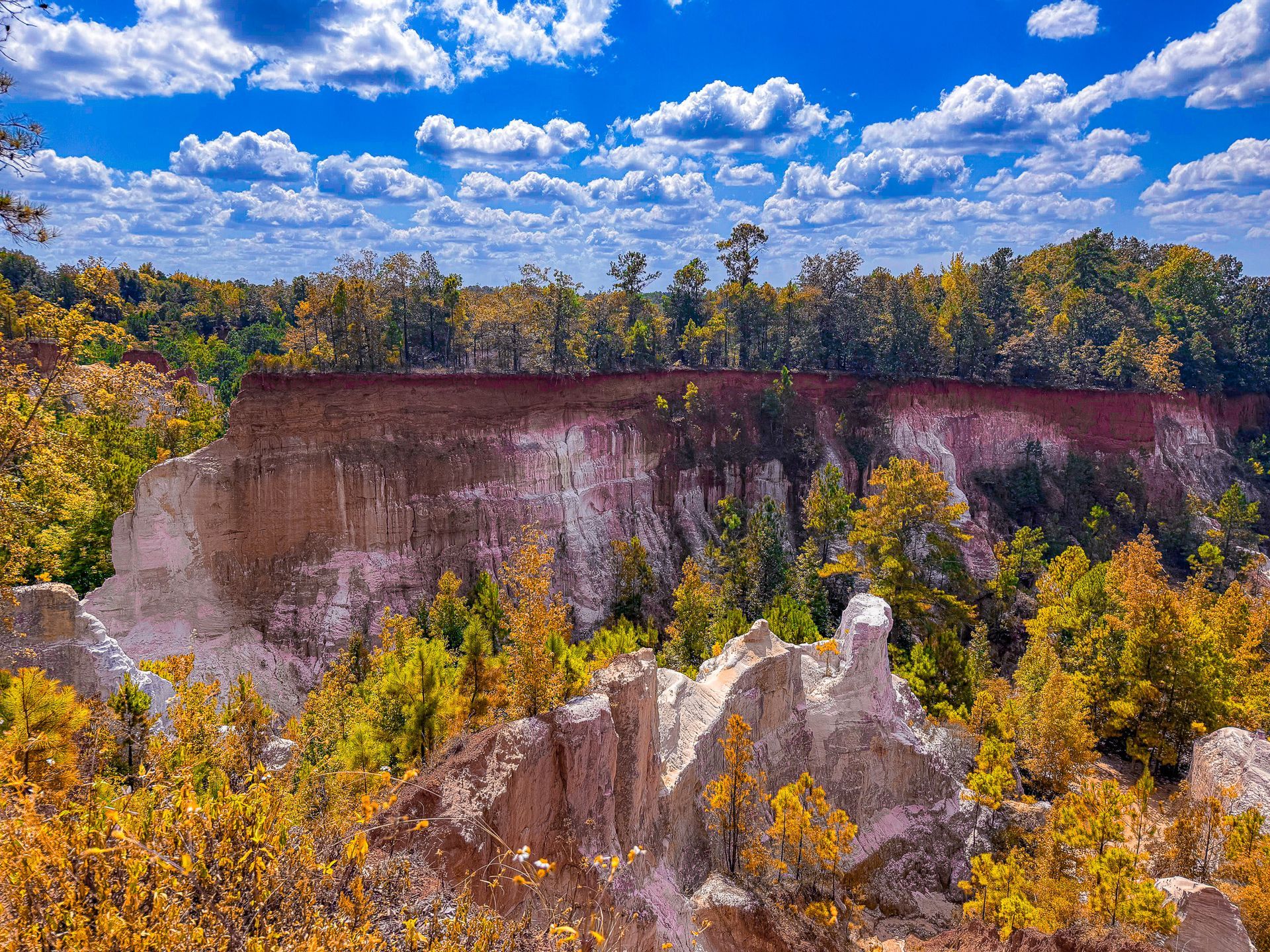 Eroded clay cliffs with white and reddish soil rise above a forest of autumn-colored trees under a bright blue sky.