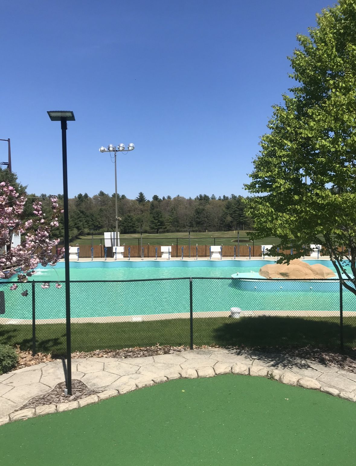 Outdoor swimming pool on a sunny day. Green water, fence, trees, and blue sky.