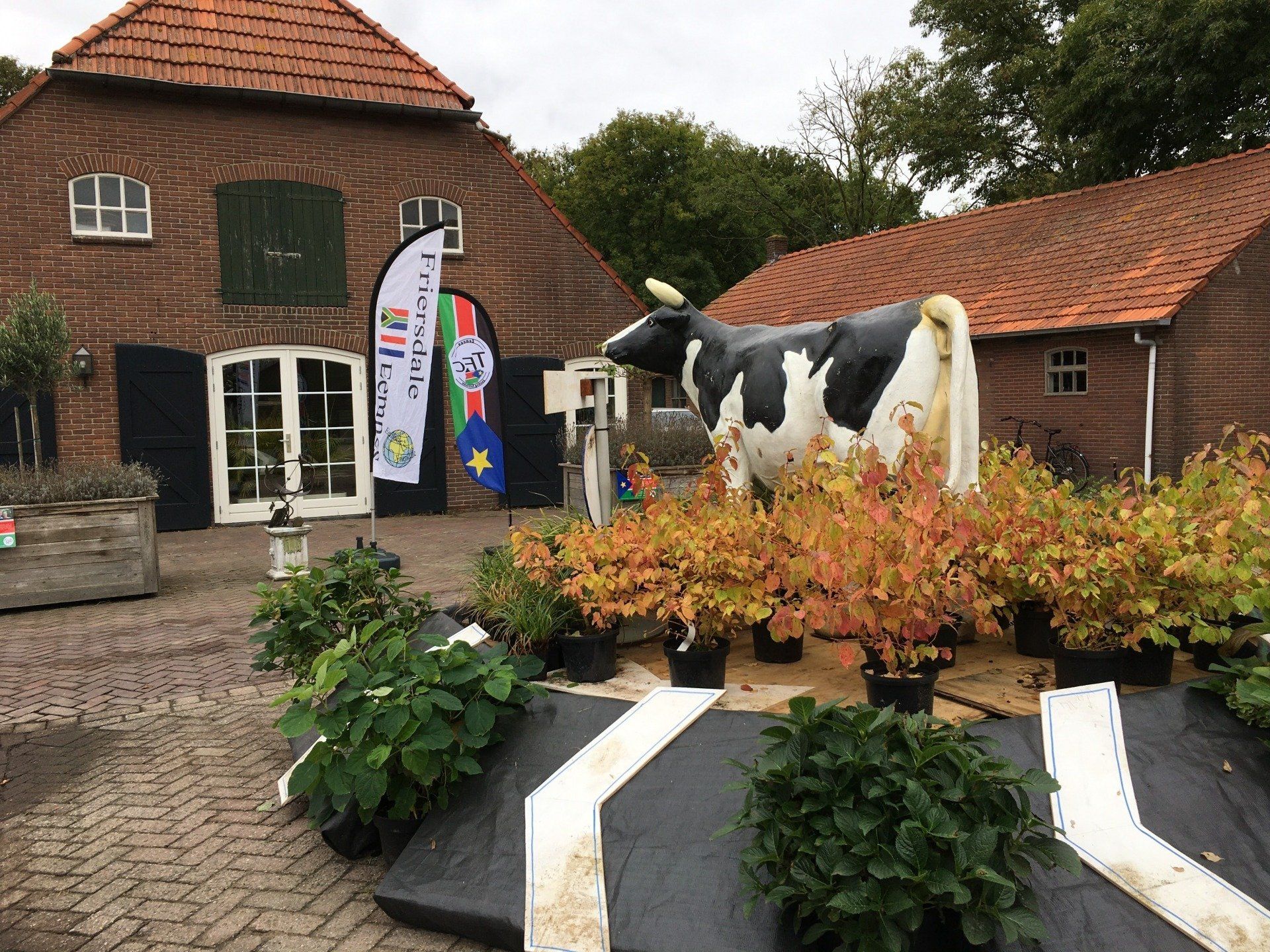 Paardenstek cookiedrive-in friersdale 2021