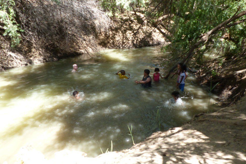 Koshuiskinderen zwemmen in Oranjerivier