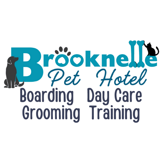 Dog Daycare Grand Rapids, MI 616-363-3687