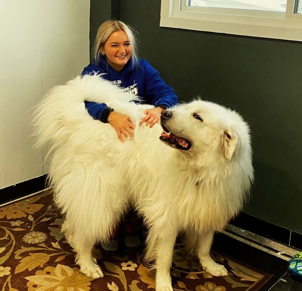 Brooknelle Pet Hotel staff member with dog enjoying dog daycare. 