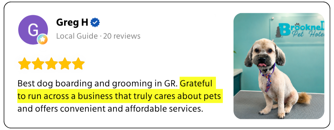 Customer review 3