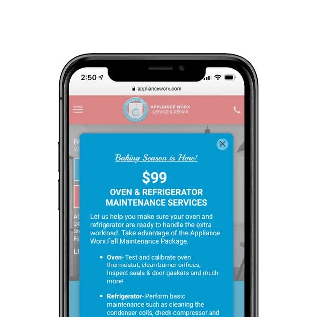 Appliance Repair Website Marketing Promo Example