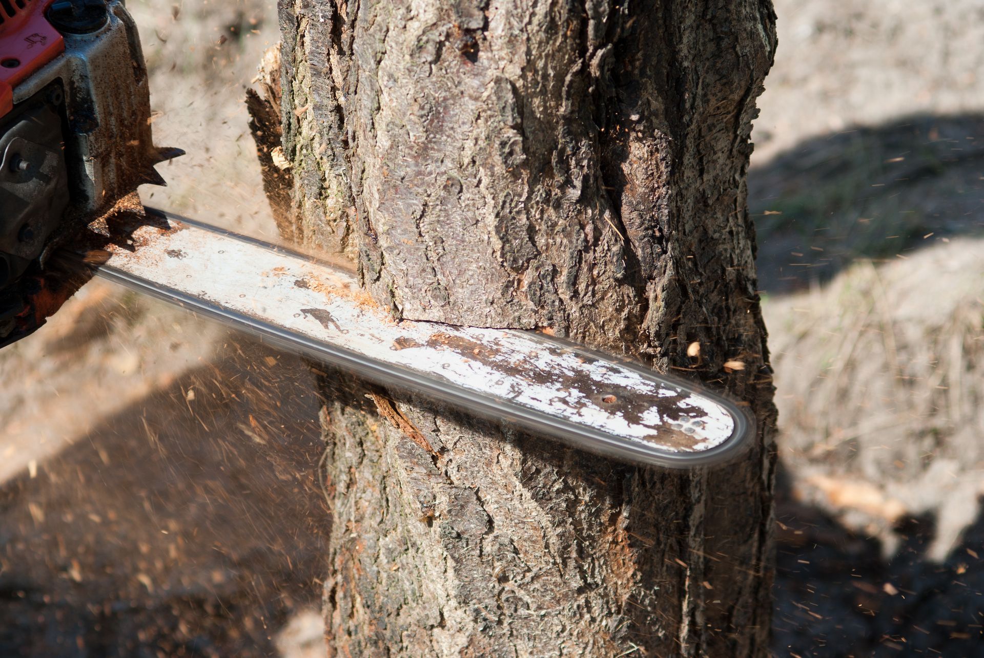 Chainsaw cutting through a tree trunk, illustrating professional Tree Removal Service Naperville Il