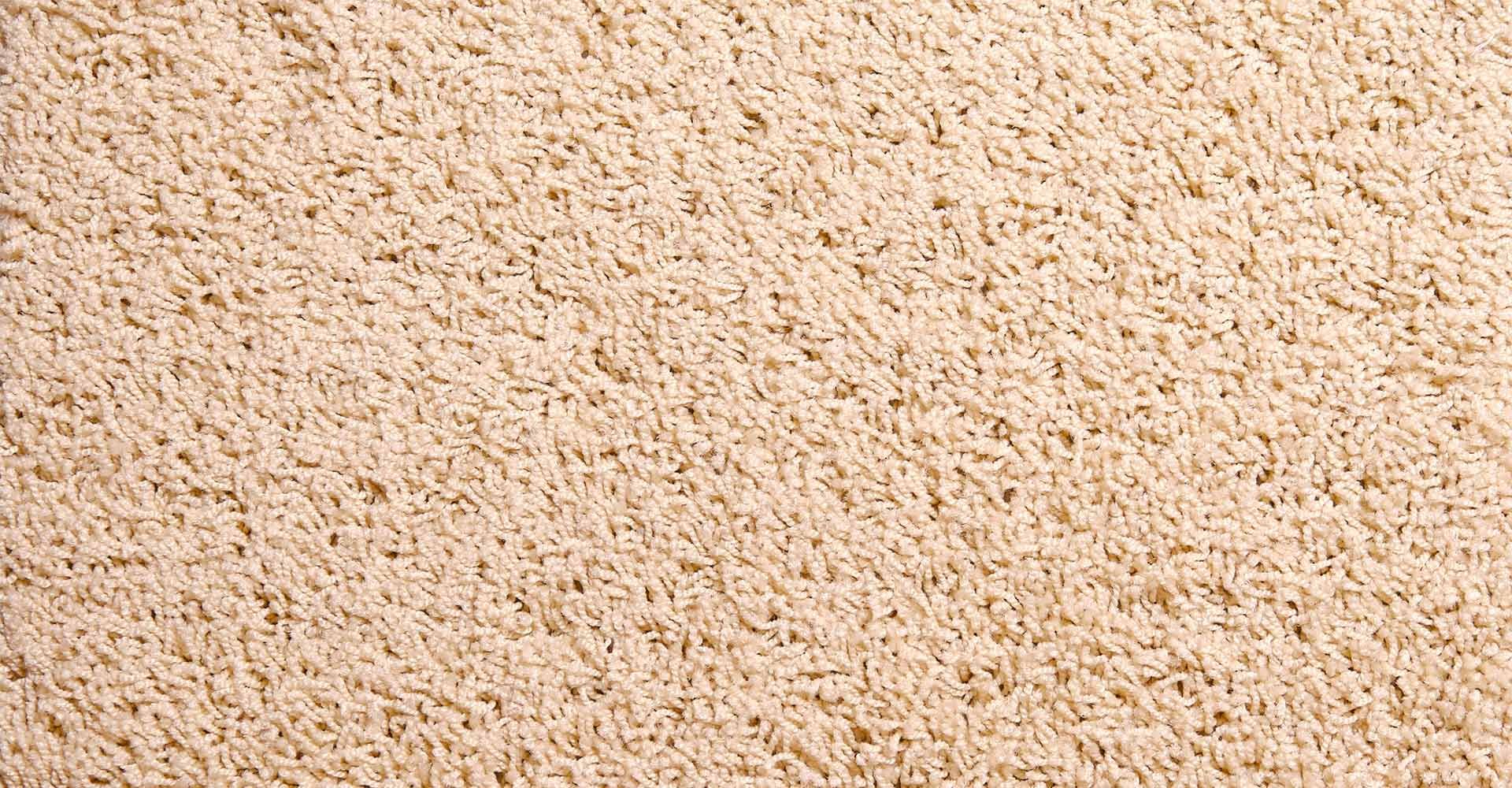 Carpet installation trends in Adelaide at Modern Floors