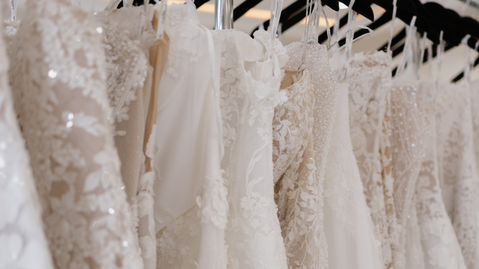 See how BridalLive helps you manage every bride from inquiry to pickup.