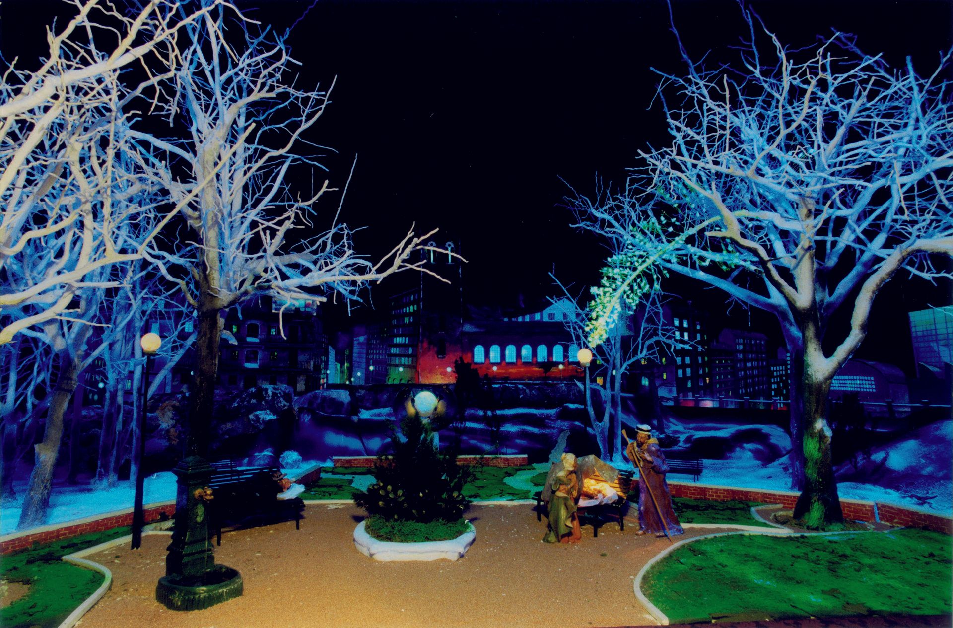 2002 - Il giardino dei barboni