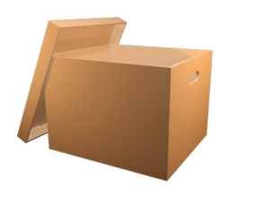 Una caja de cartón con la tapa abierta sobre un fondo blanco.