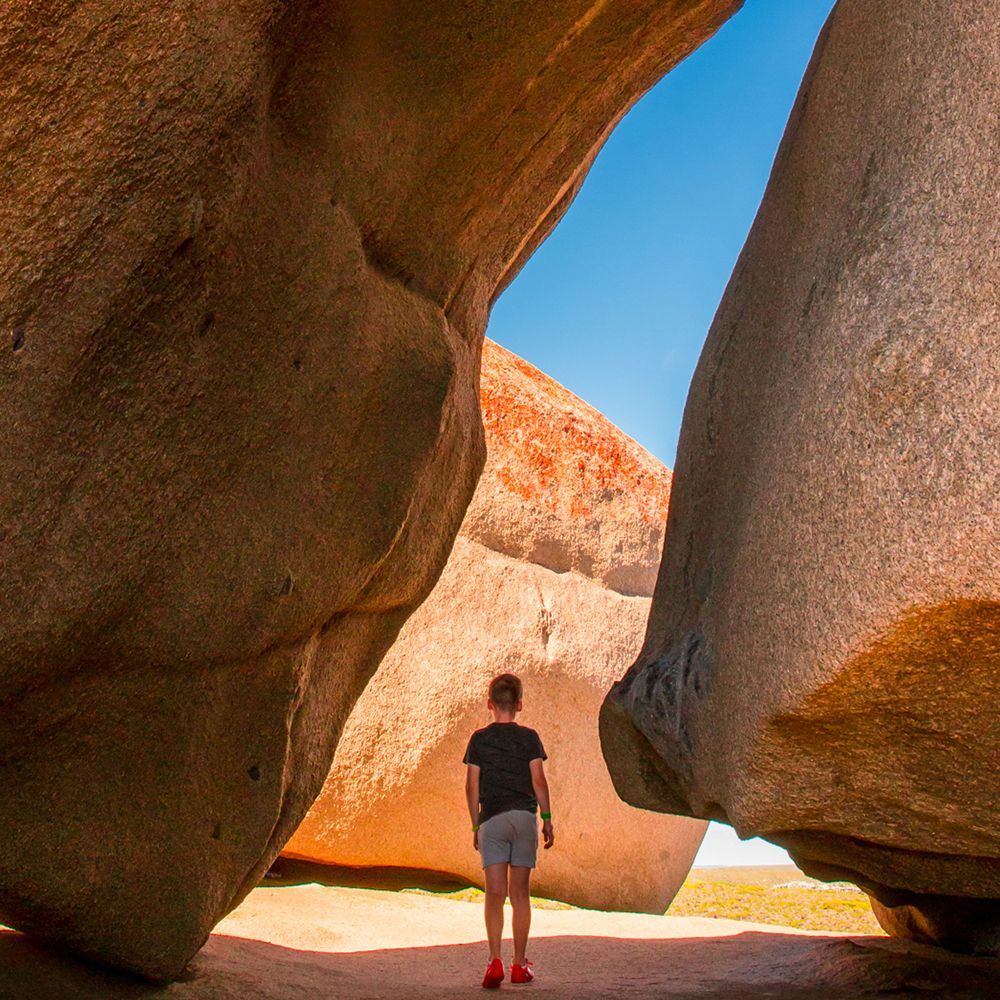 kangaroo island tourism