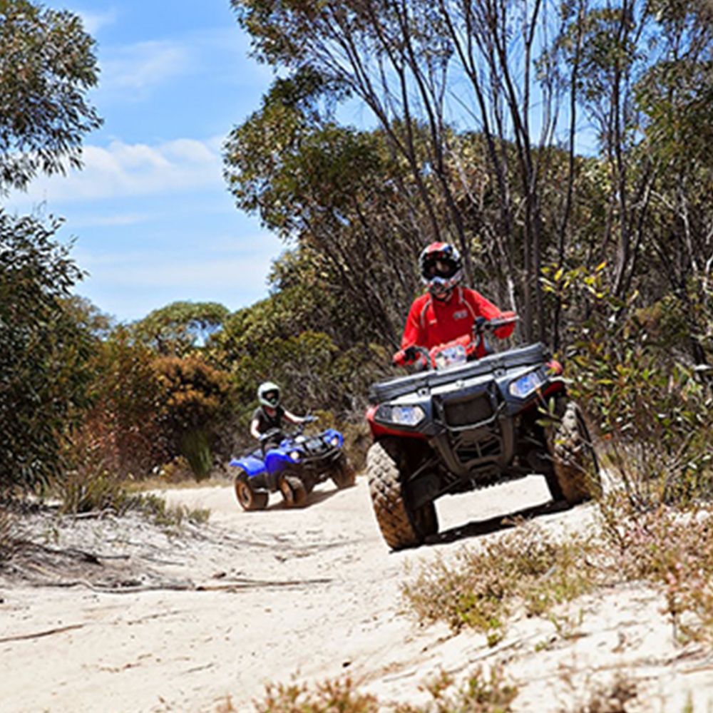 kangaroo island tourism