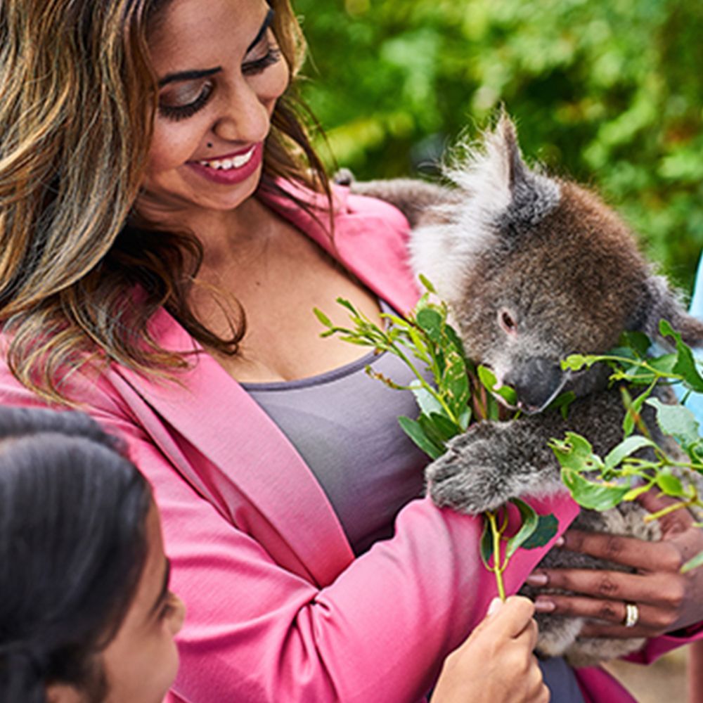 kangaroo island tourism