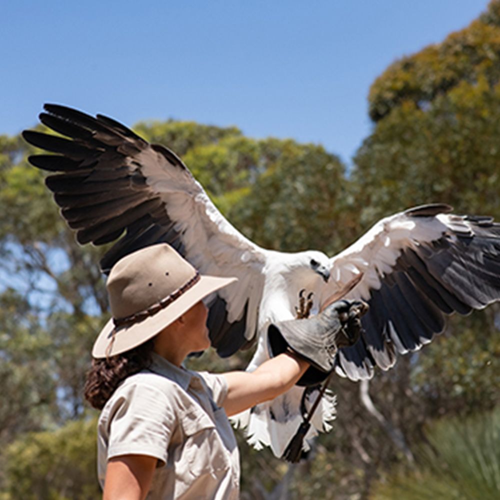 kangaroo island tourism