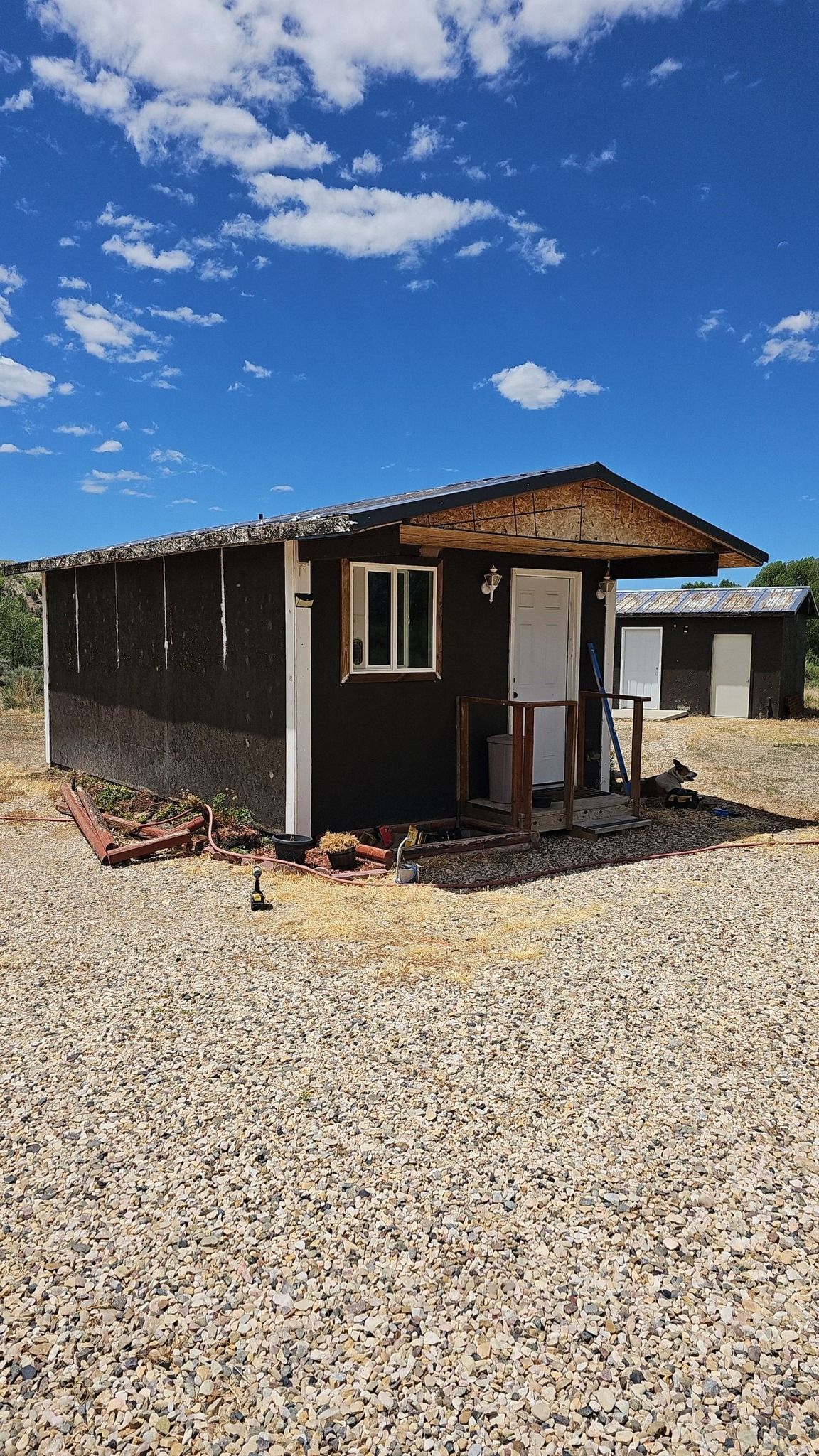 Small dark cabin with white trim, a window, and a door under a blue sky.