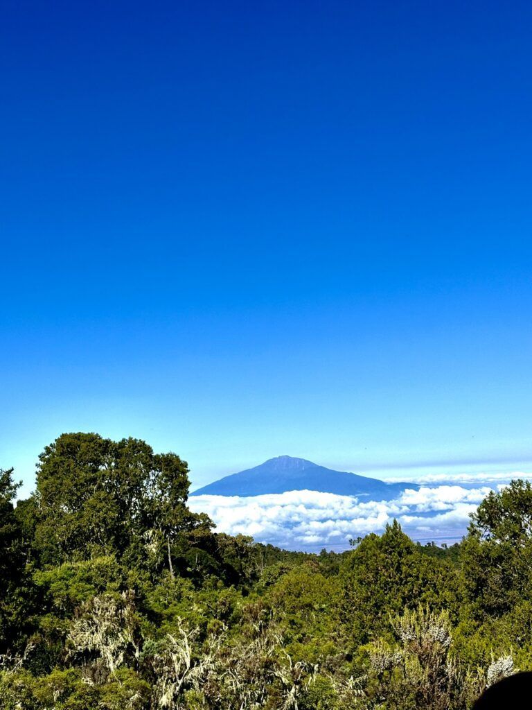 A mountain rises above the clouds in the distance