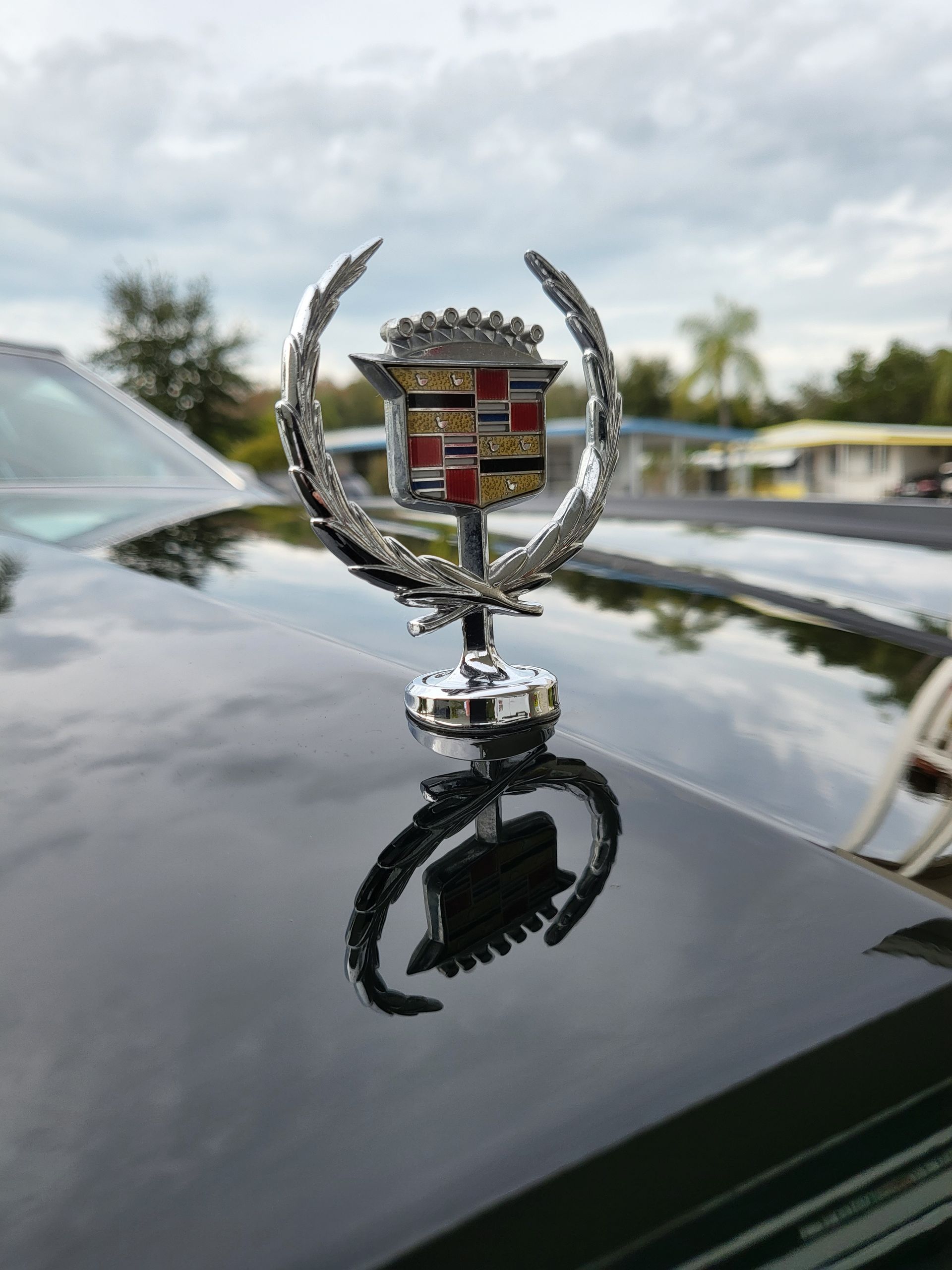 1983 Cadillac Eldorado emblem with Ceramic Coating Tampa