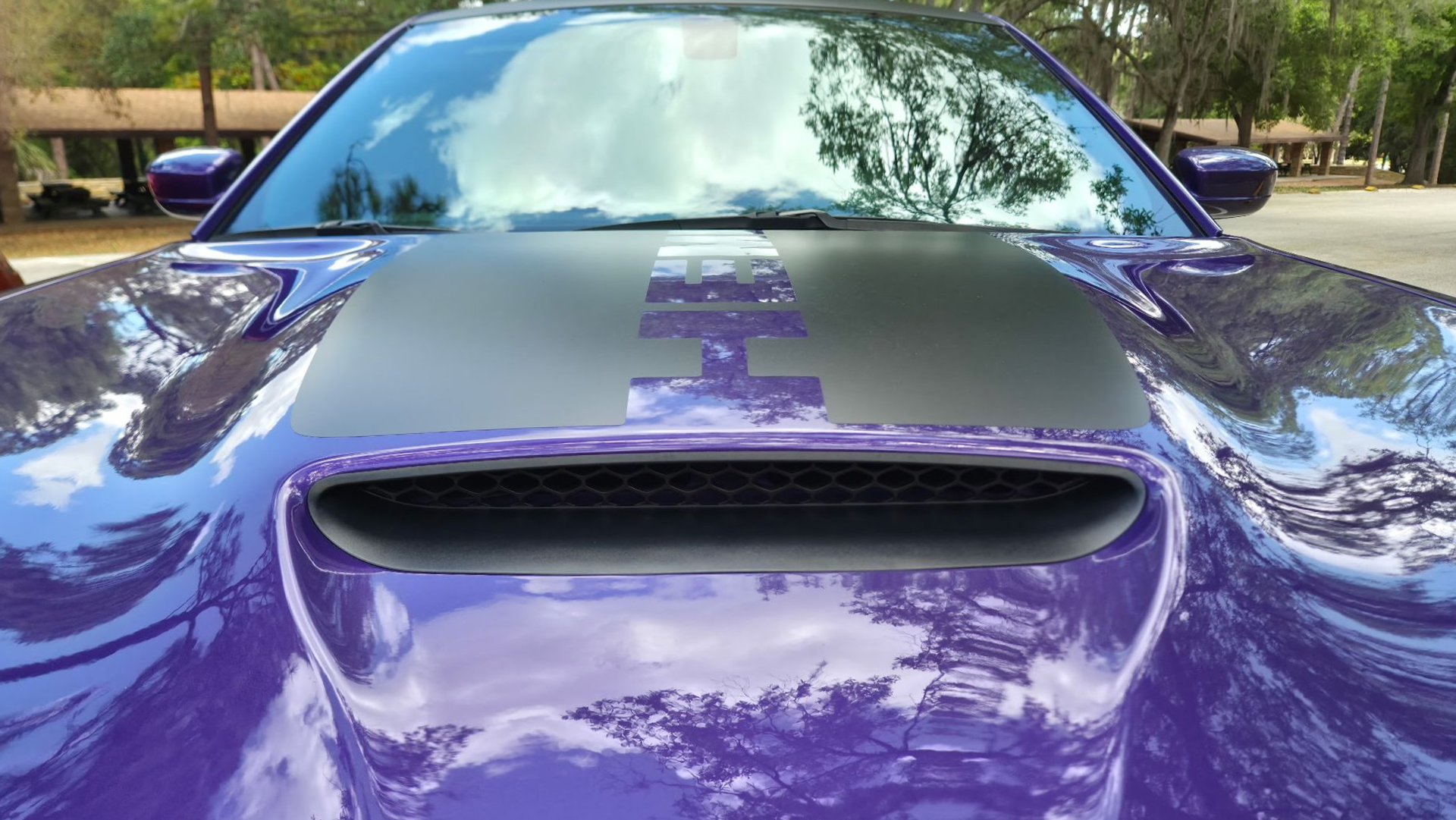 Dodge Daytona Professional-Ceramic-Tampa