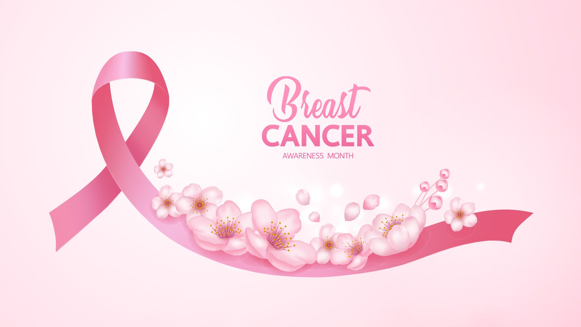 October is Breast Cancer Awareness Month