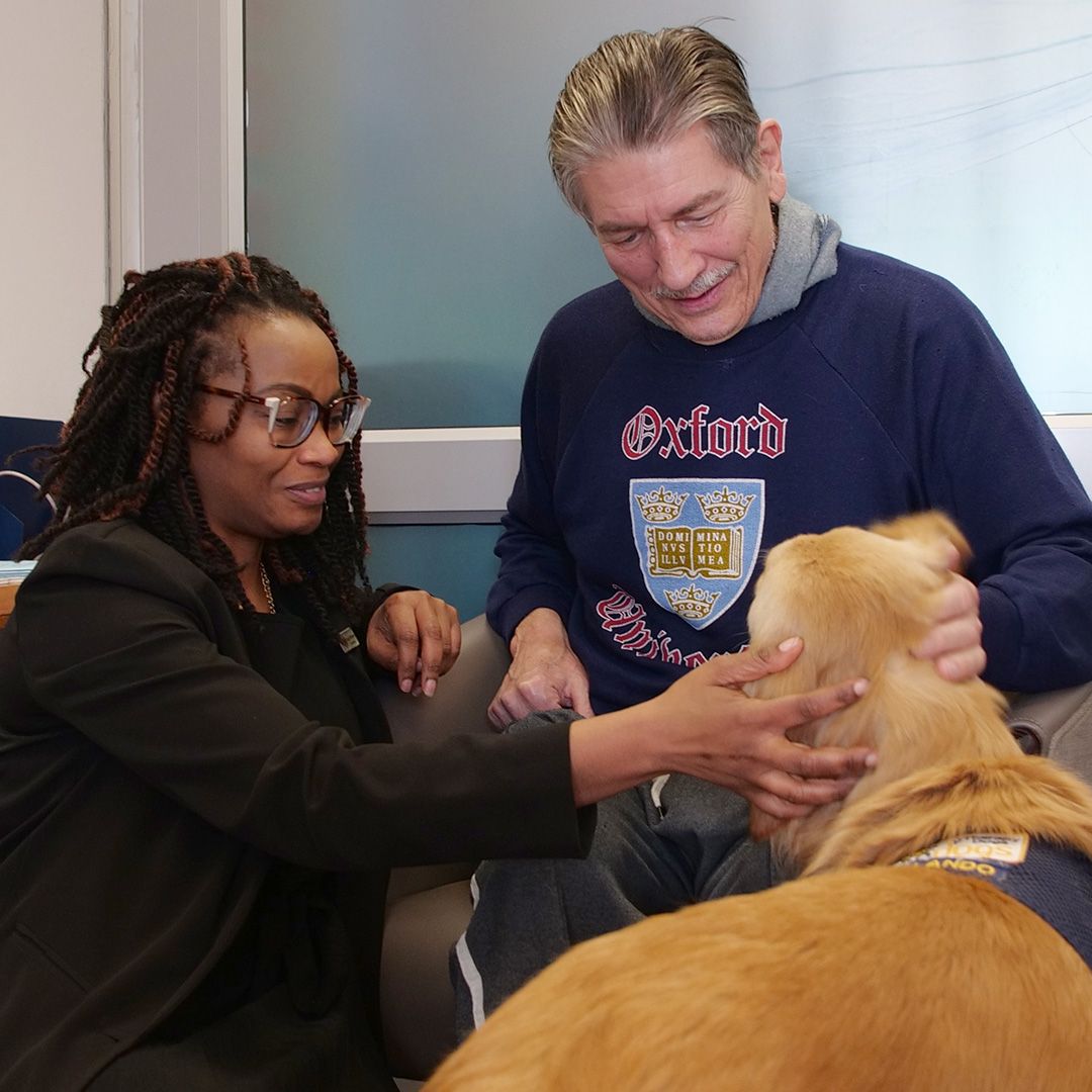 Orlando, the therapy dog