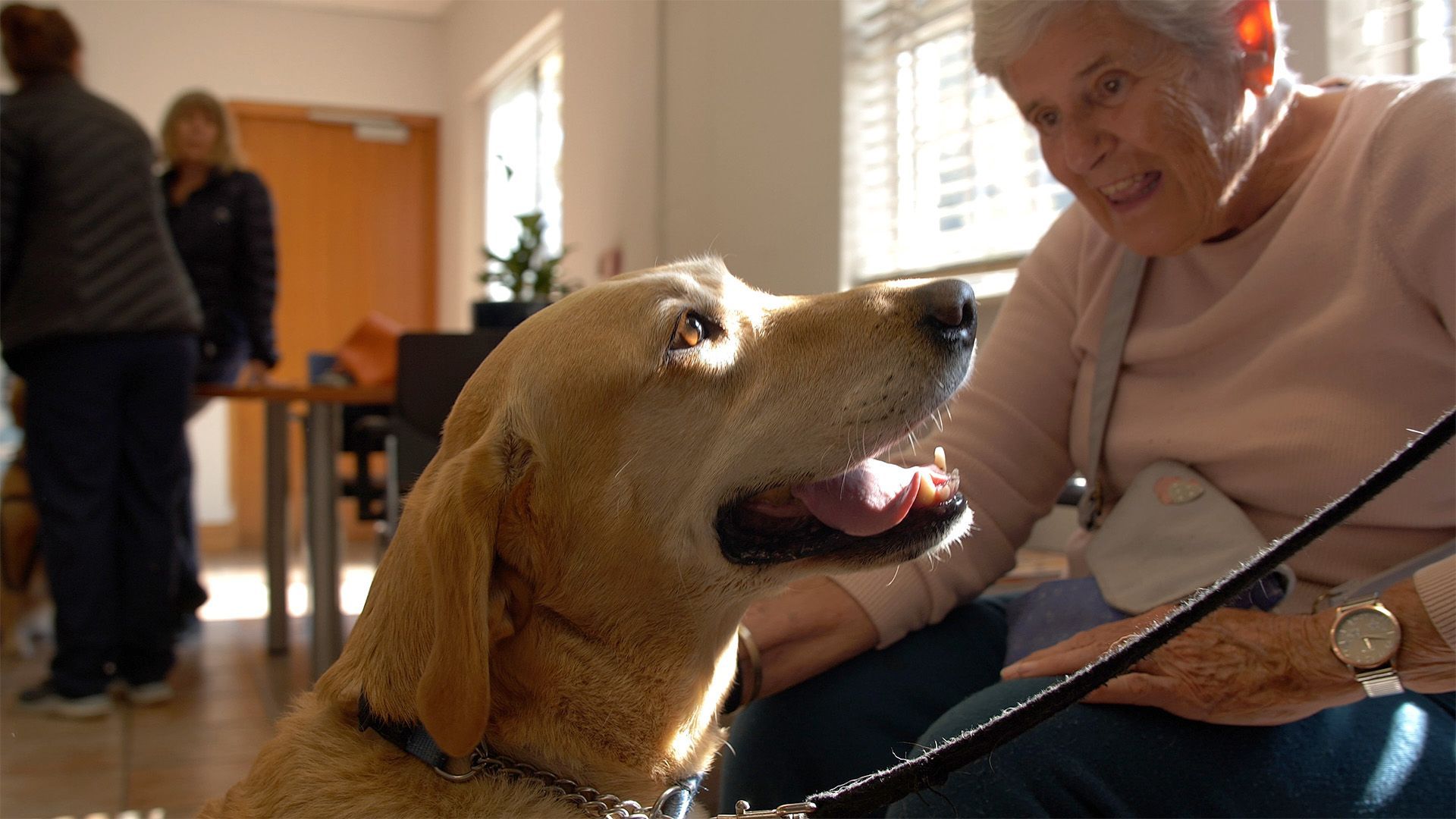 Therapy dog Honey enjoys a special moment with Mrs Penelope Wiggill at Netcare Olivedale Hospital