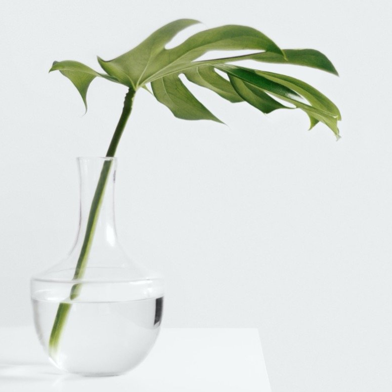 Avery Reestler, property support