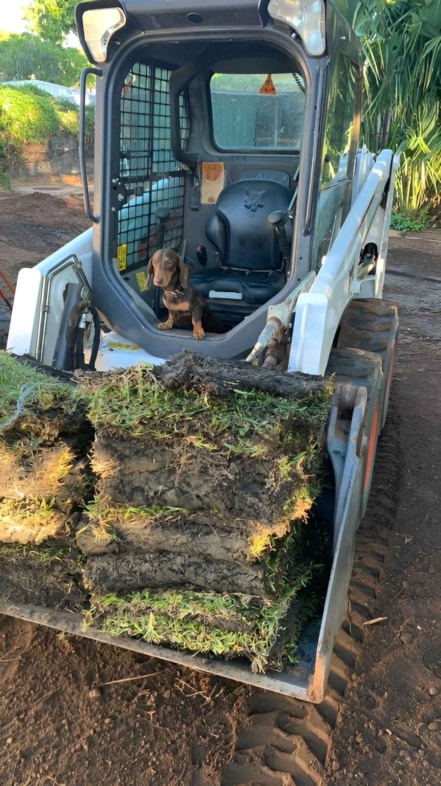 A Dog Is Sitting In The Back Of A Bulldozer — NQES Industries in Cloncurry, QLD