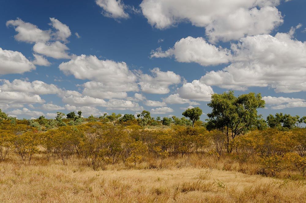 Scenery Near Cloncurry, Outback Queensland, Australia — NQES Industries in Cloncurry, QLD