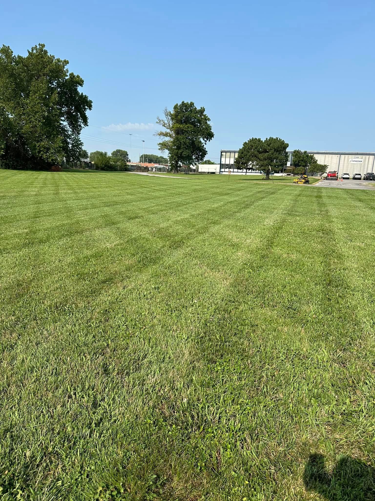 Green, mowed grassy field with trees and buildings in the background under a blue sky.