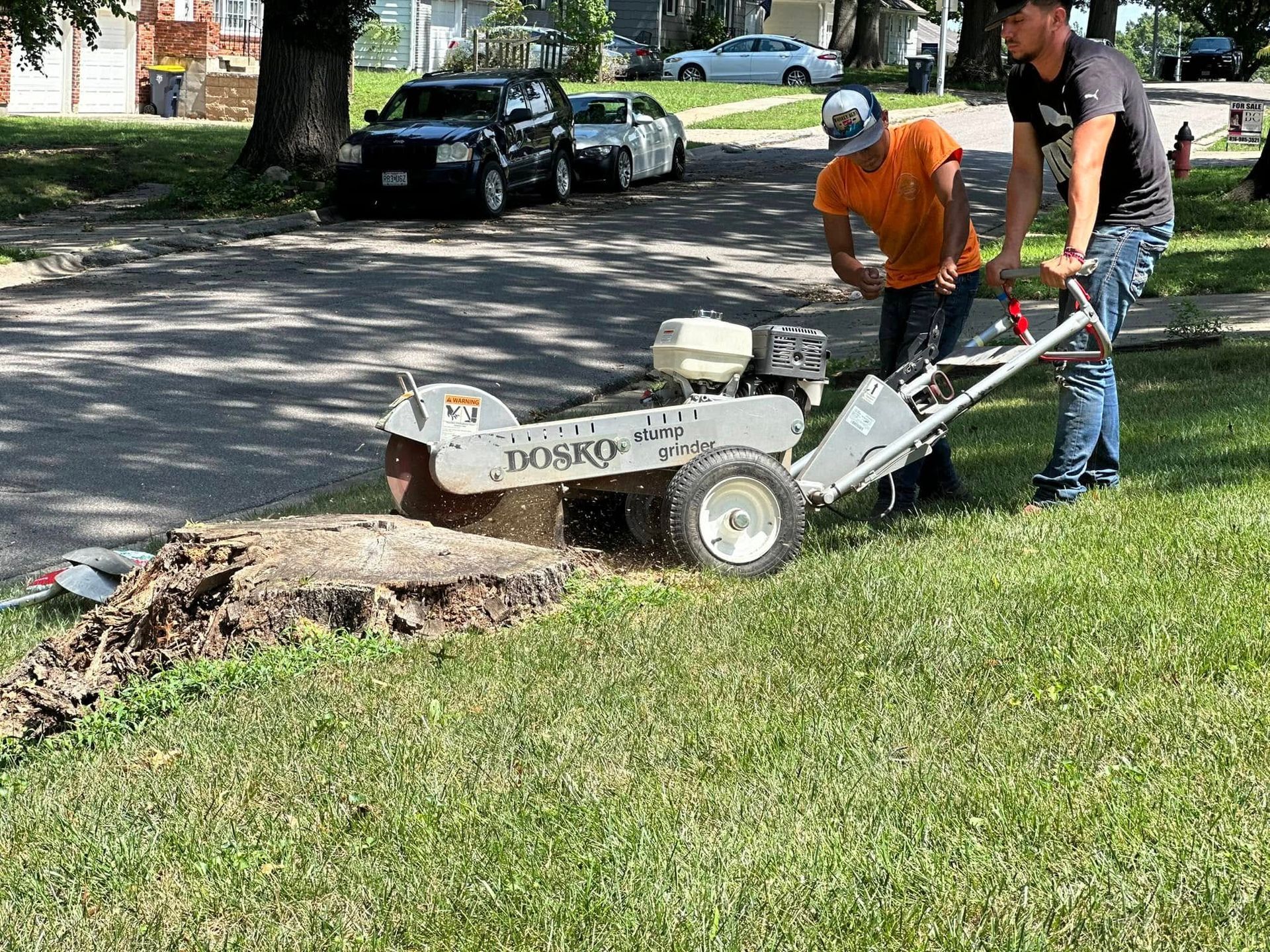 Two people using a stump grinder to remove a tree stump on a grassy lawn next to a street.