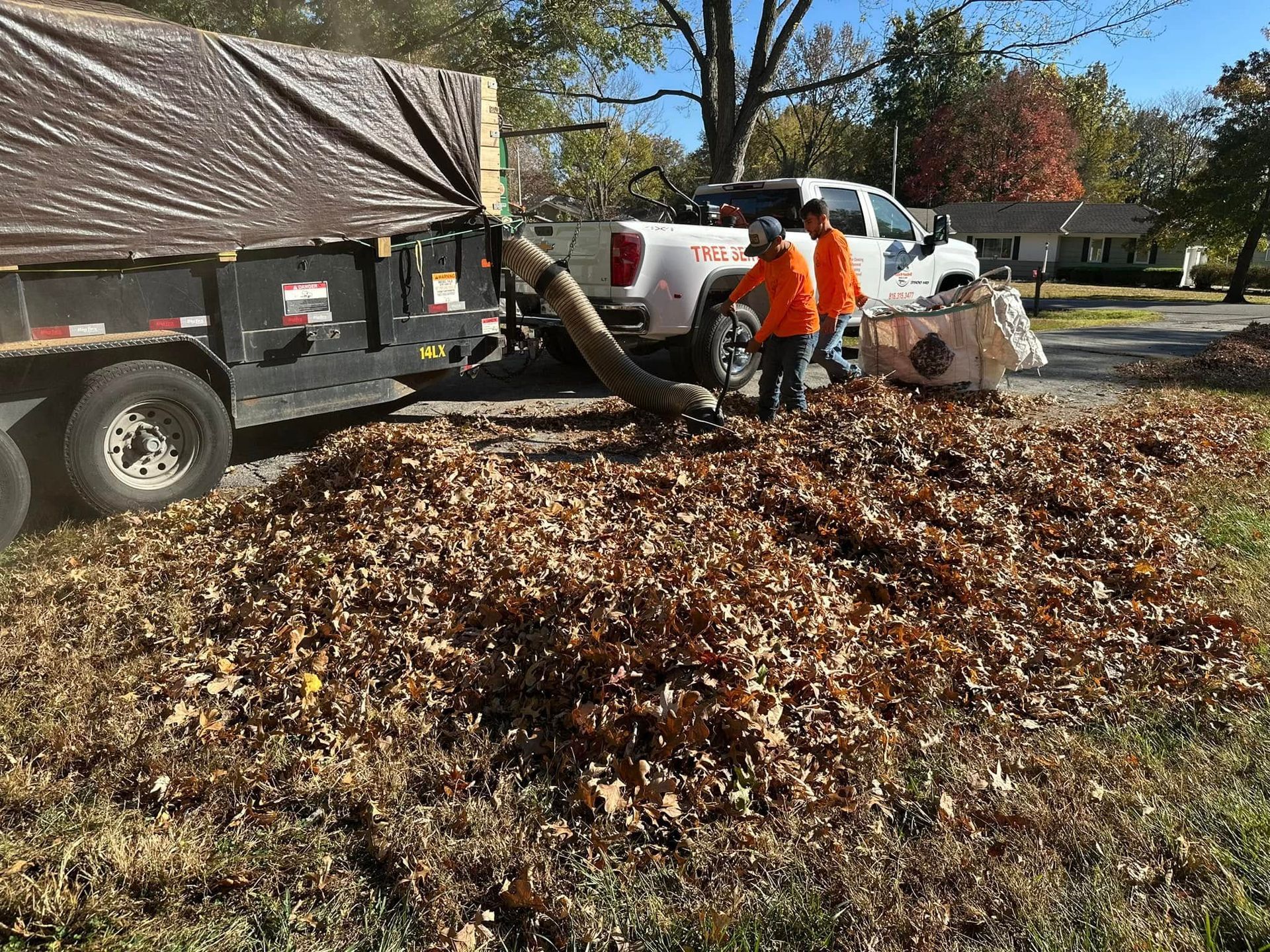 Two people in orange vests collecting leaves with a truck and trailer.