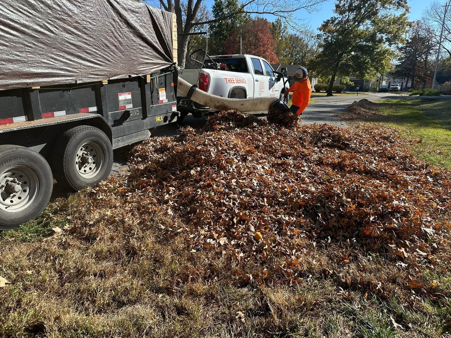 Worker in orange vest uses a leaf blower to load leaves into a trailer beside a truck on a sunny day.