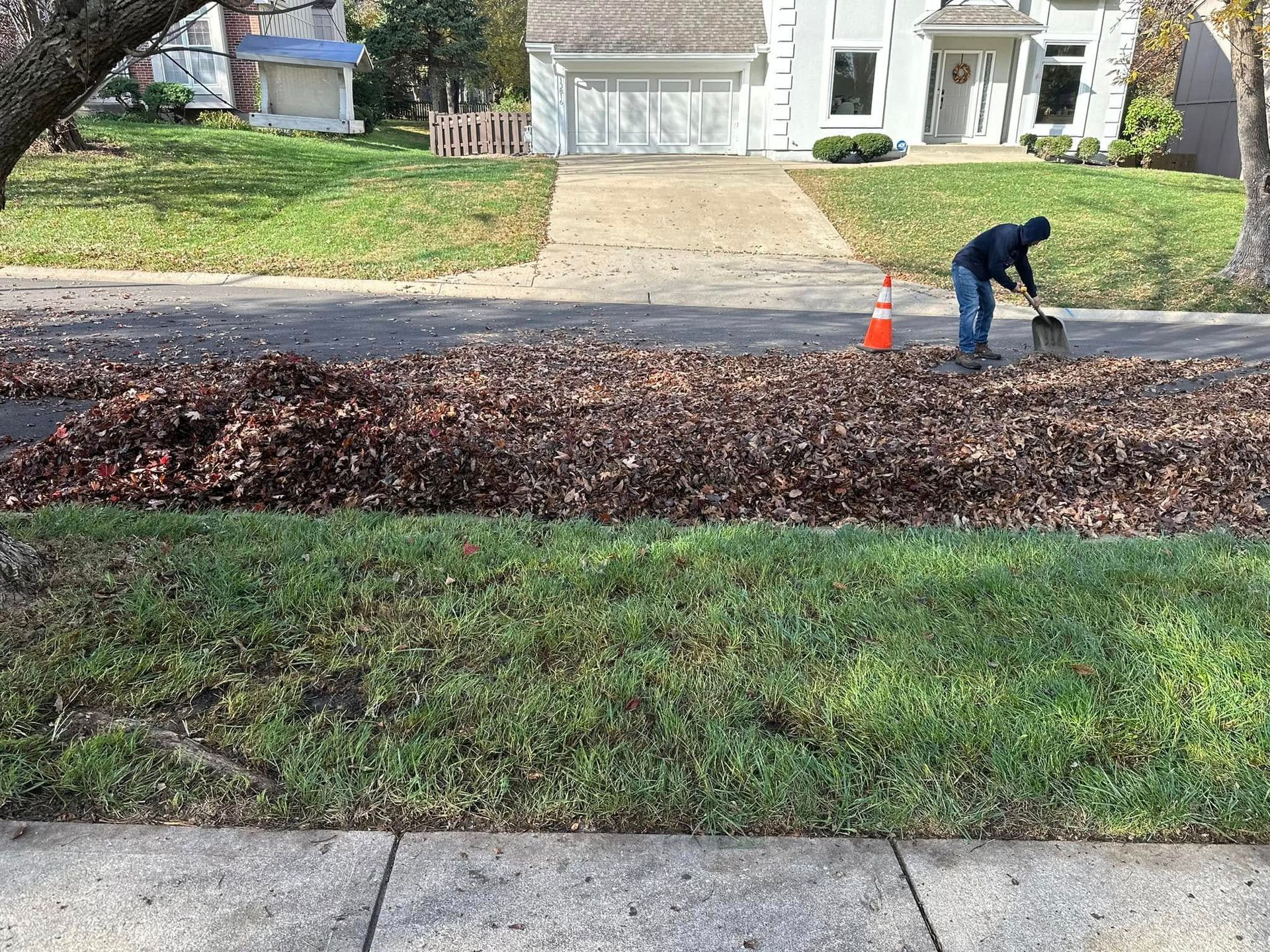 Person raking leaves on a street next to a lawn and sidewalk, with houses in the background.
