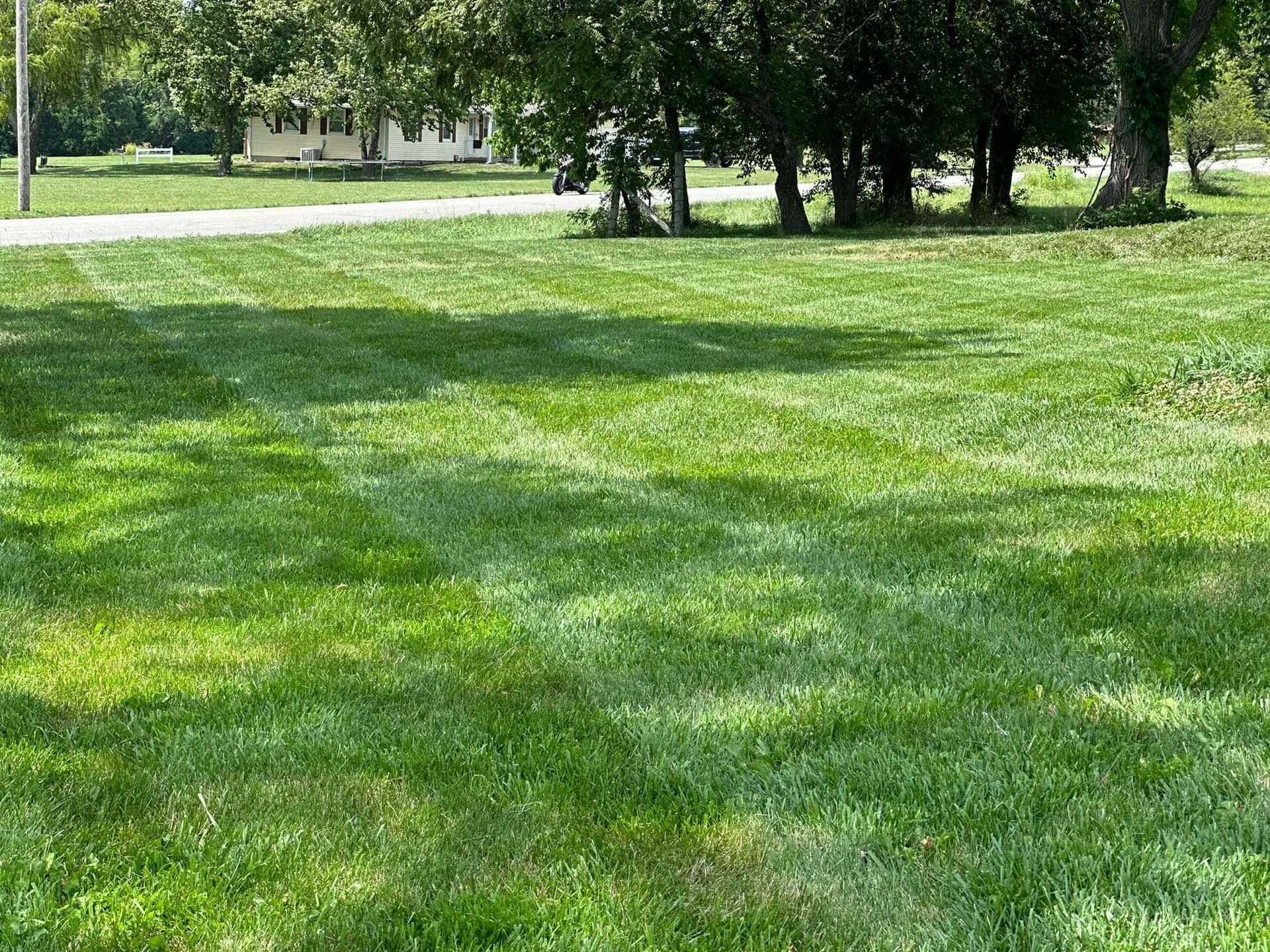 Green lawn with a house in the background and a row of trees to the right.