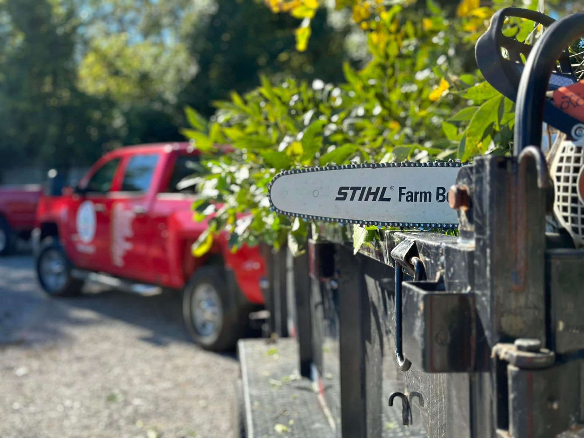 Close-up of a chainsaw labeled 