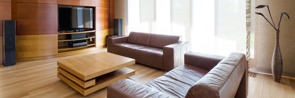 Leather sofas and table