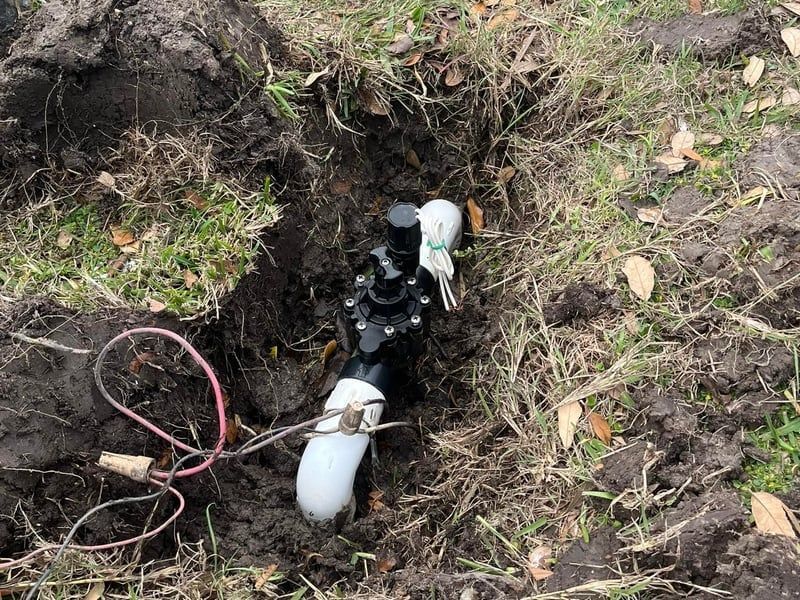Black and white animal trapped in a narrow dirt burrow with cables and a pipe nearby