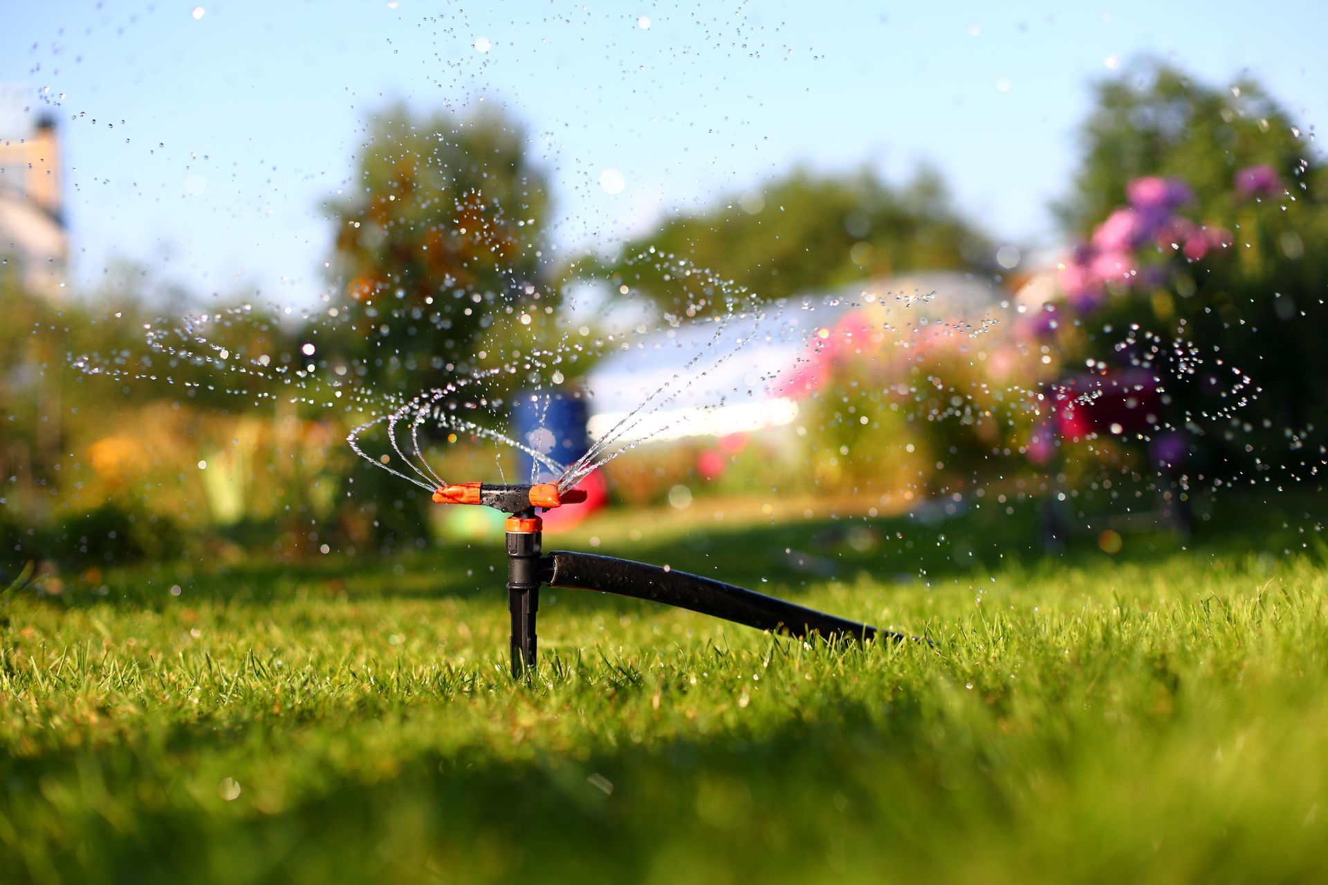 A lawn sprinkler spraying water in a sunny garden, with a blurred house and trees in the background.