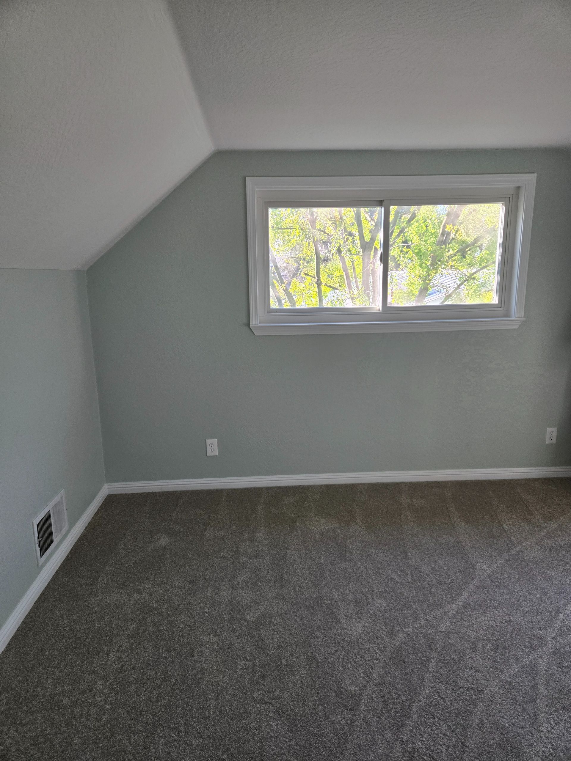 Empty room with pale green walls, carpet, and a window with a view of trees.