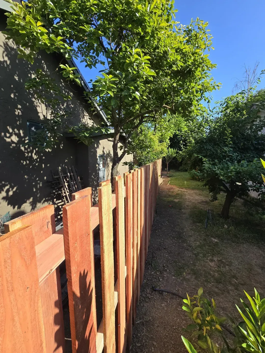 Wooden fence extends toward trees in a sunny backyard.