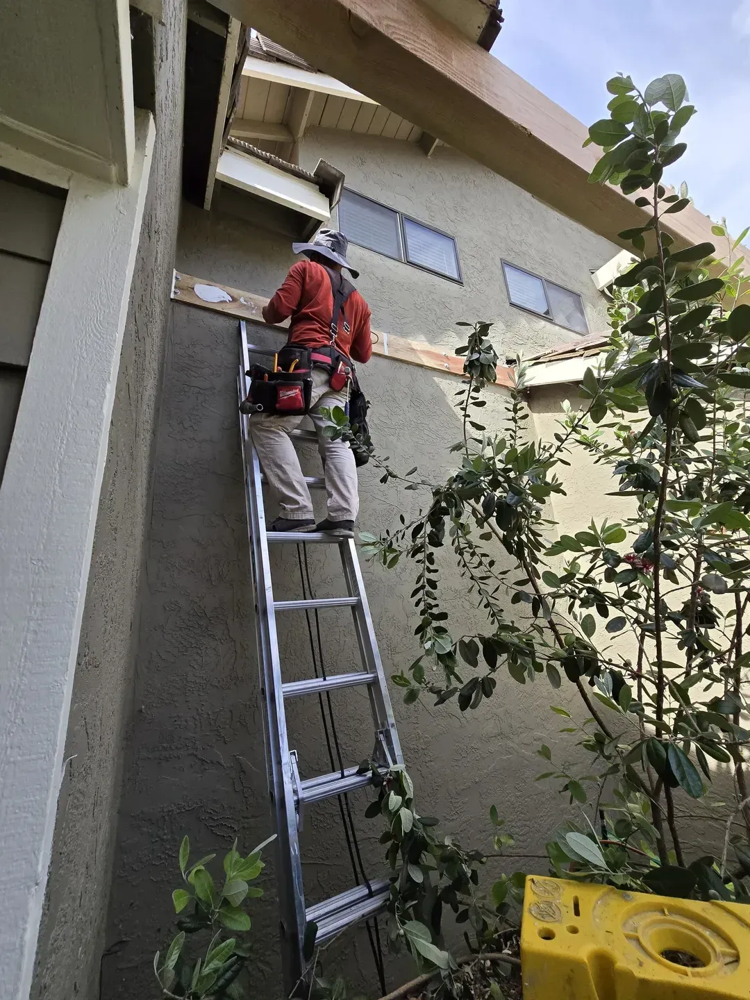 Person on ladder working on the side of a building, near windows and vegetation.