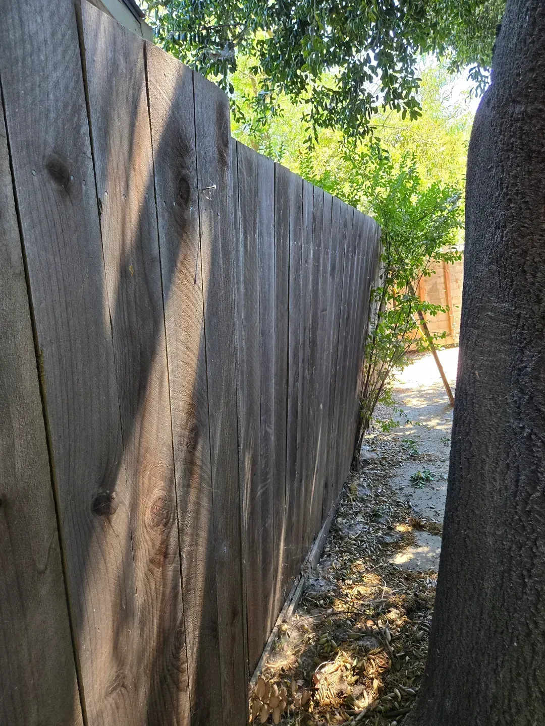 Wooden fence beside a tree, with foliage and sunlight in the background.