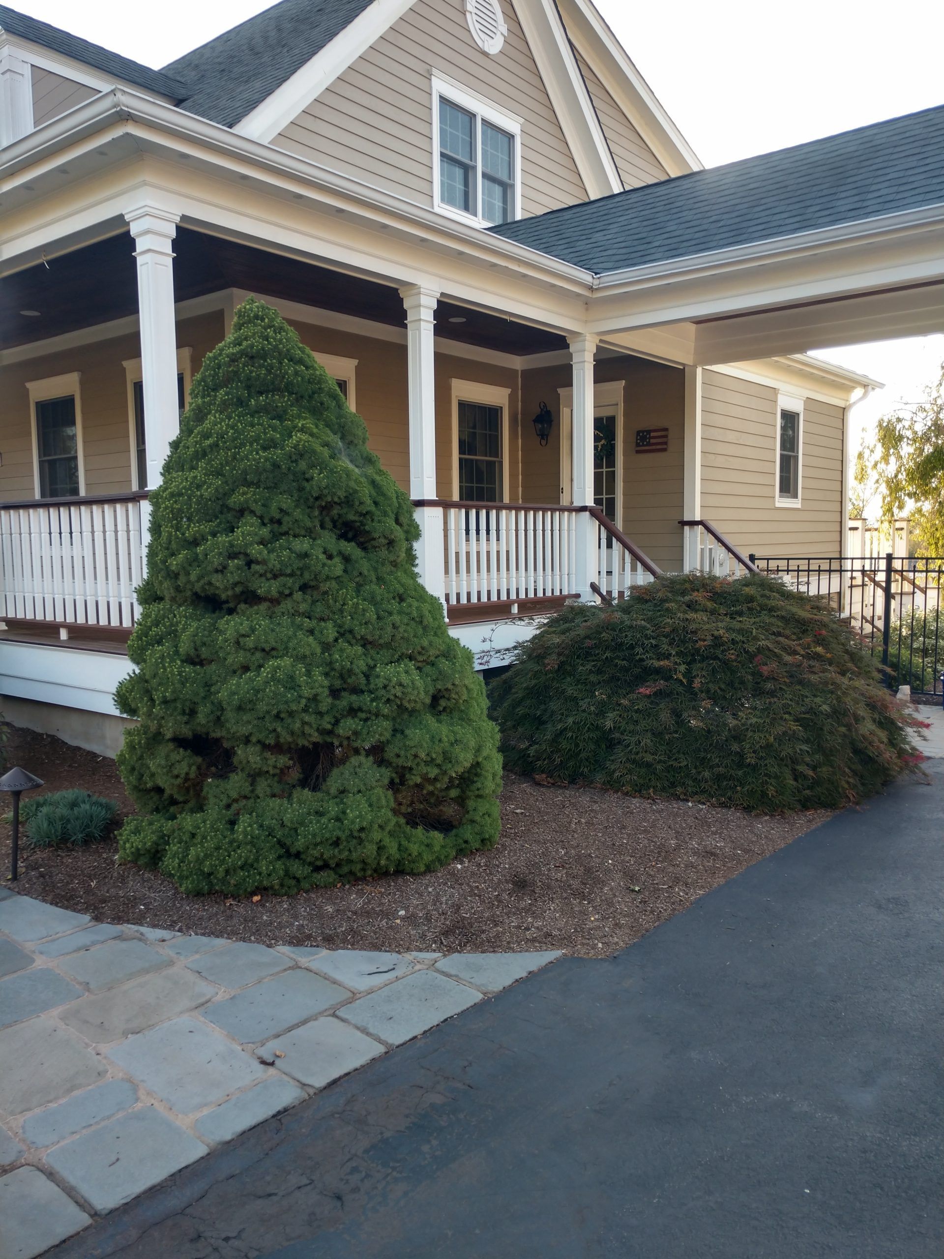 Driveway view of beige house with white columns, landscaped garden, and front porch stairs.