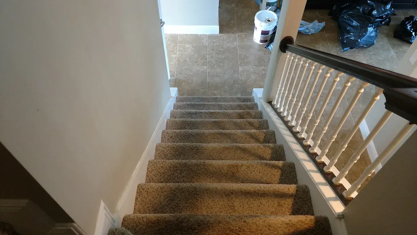 View from top of carpeted stairs with a white banister and dark wood handrail.