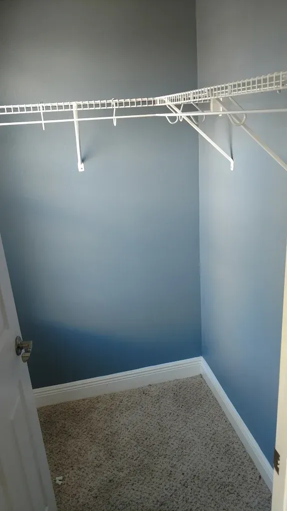 Small walk-in closet with blue walls, wire shelving, and tan carpet.