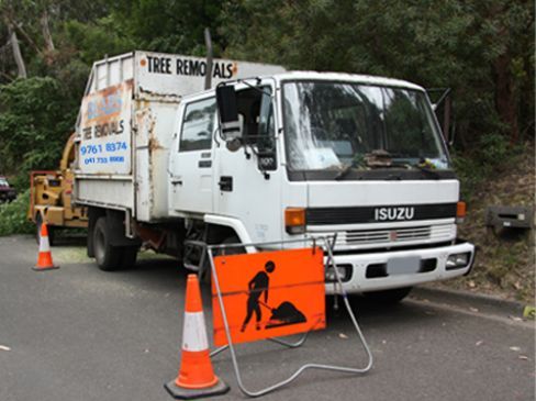 Bears Tree Removals Truck