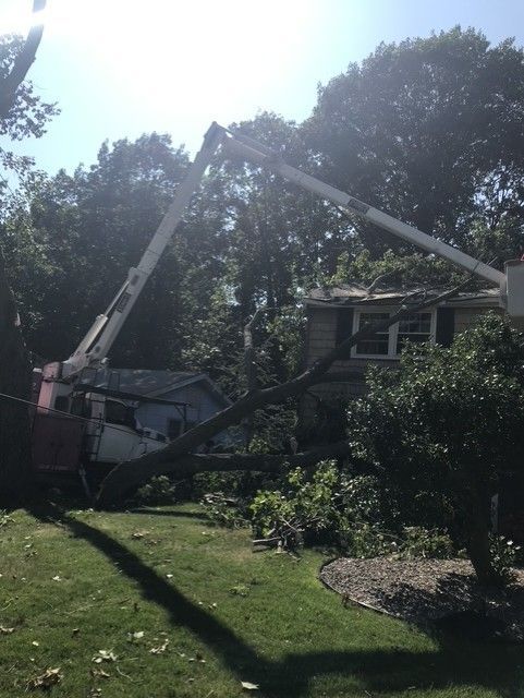 Man in lift basket using chainsaw to trim tree branches against blue sky.