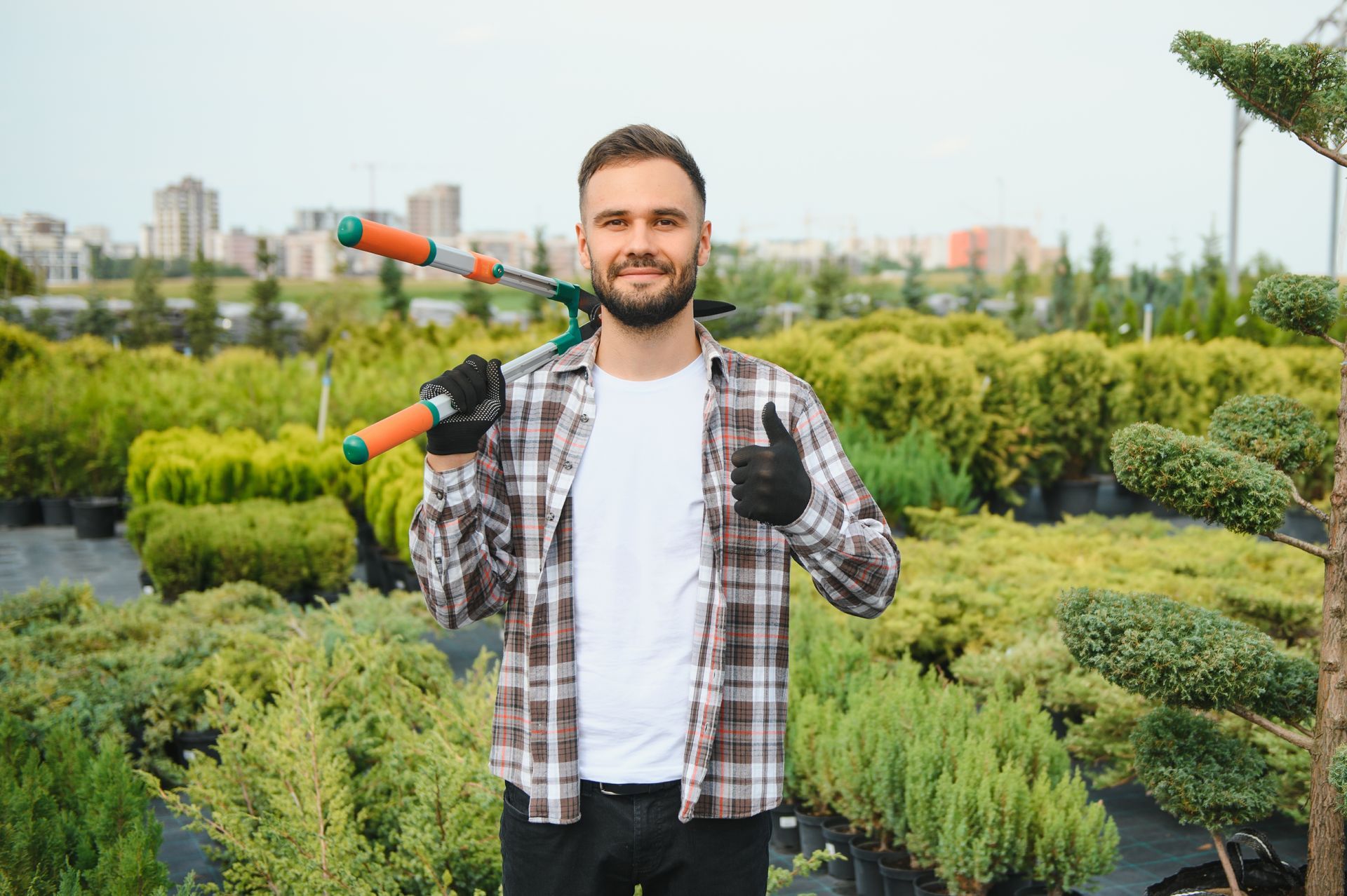 Man holding pruning shears, giving thumbs up, surrounded by potted plants. Man holding pruning shears, giving thumbs up, surrounded by potted plants.