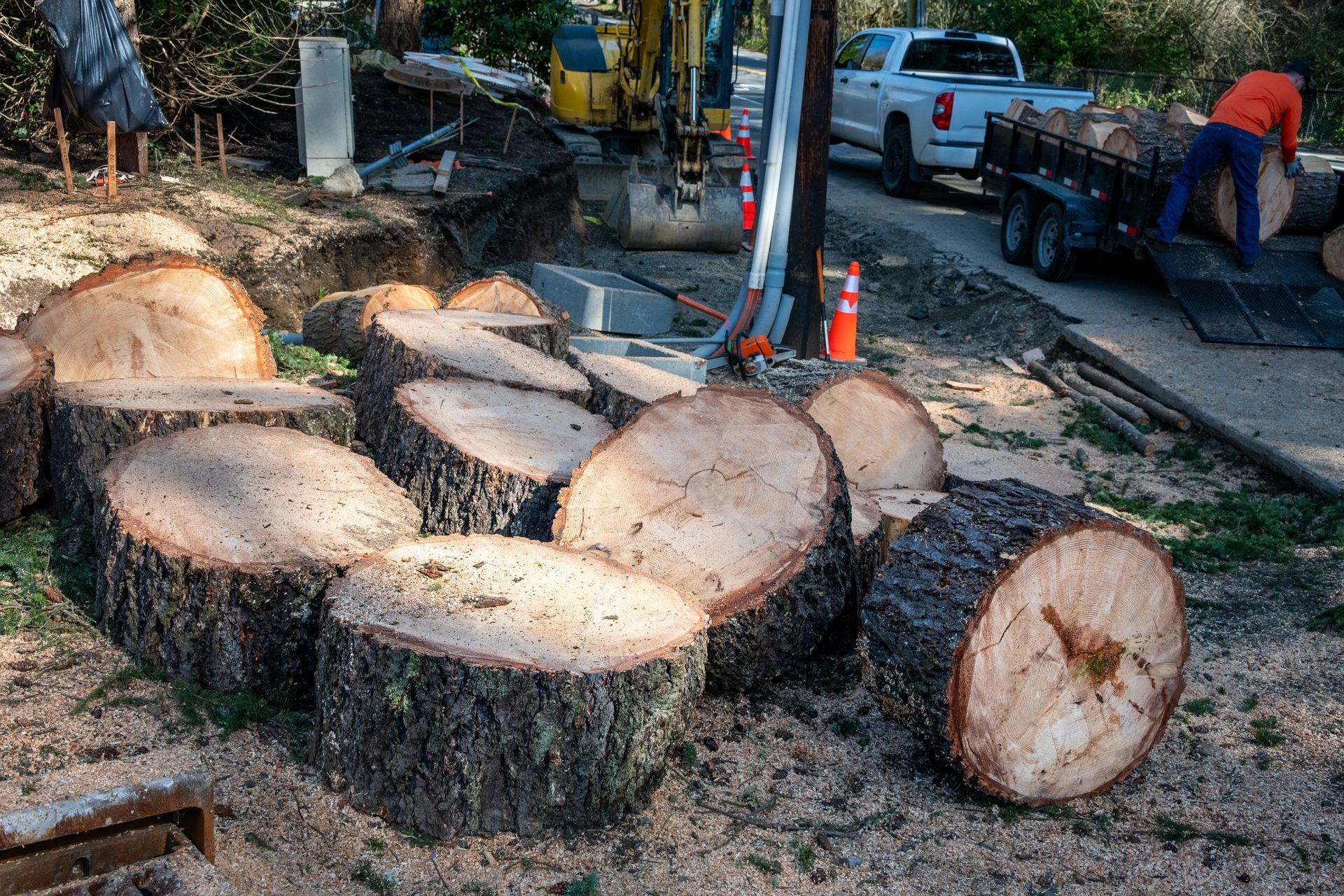 Cut tree logs on the ground, construction in the background, a person loading logs into a trailer. Cut tree logs on the ground, with construction workers loading a trailer. A truck and excavator are present.