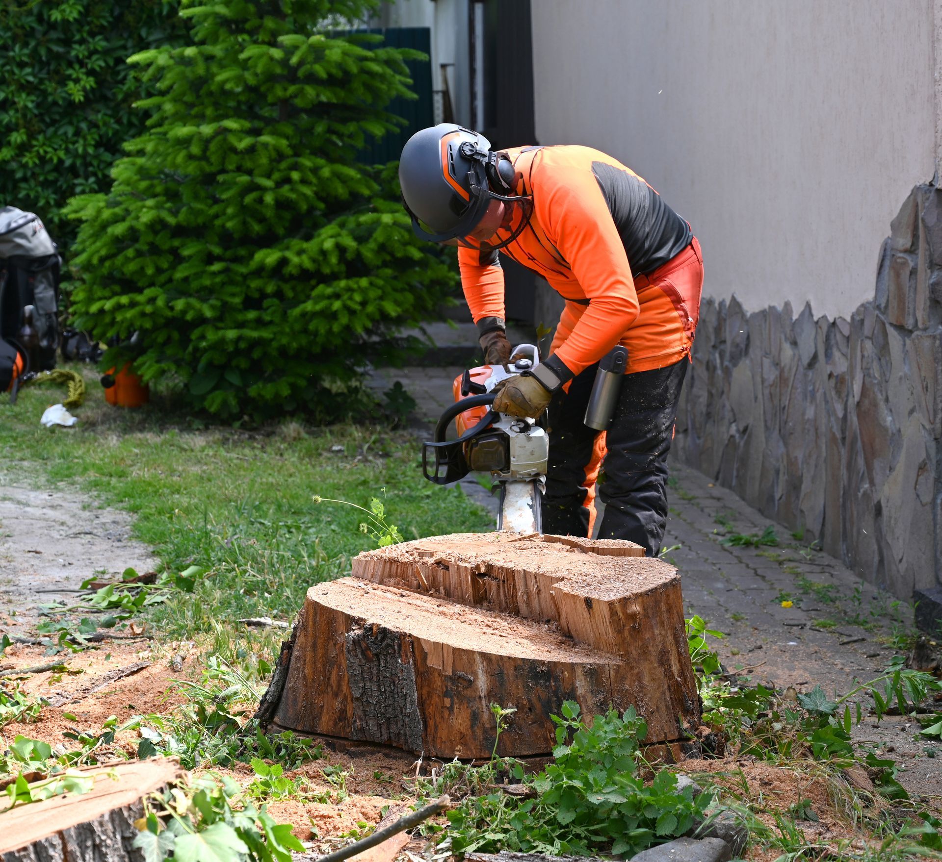 Arborist in orange safety gear using a chainsaw to cut a tree stump outdoors. Arborist in orange safety gear using a chainsaw to cut a tree stump outdoors.